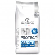 Protect Obesite 12kg