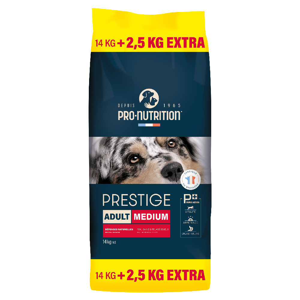 Prestige Adult Medium 14+2,5kg