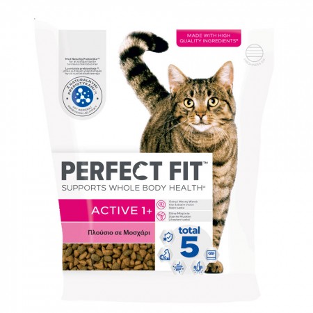 PERFECT FIT ACTIVE ΜΟΣΧΑΡΙ 750g