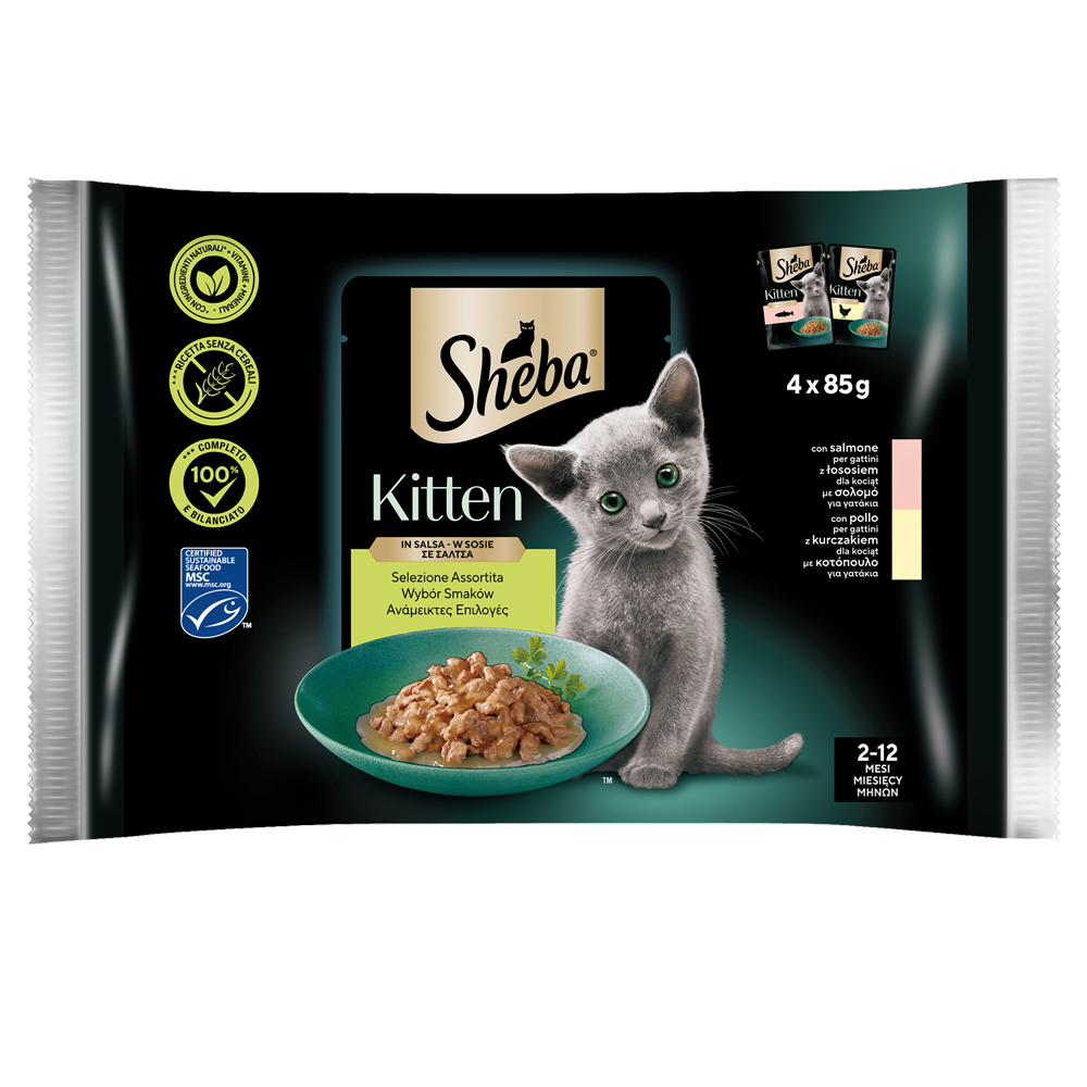 SHEBA KITTEN ΑΝΑΜΕΙΚΤΕΣ ΕΠΙΛΟΓΕΣ ΣΕ ΣΑΛΤΣΑ Multipack 4x85g