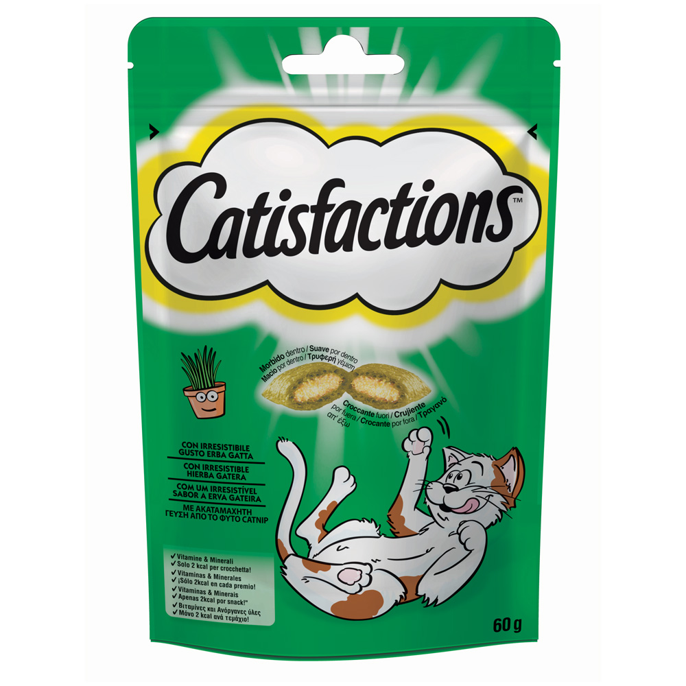 CATISFACTIONS CATNIP 60g