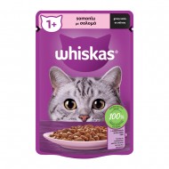 WHISKAS ΦΑΚΕΛΑΚΙ CORE ΣΟΛΟΜΟΣ ΣΕ ΣΑΛΤΣΑ 85g