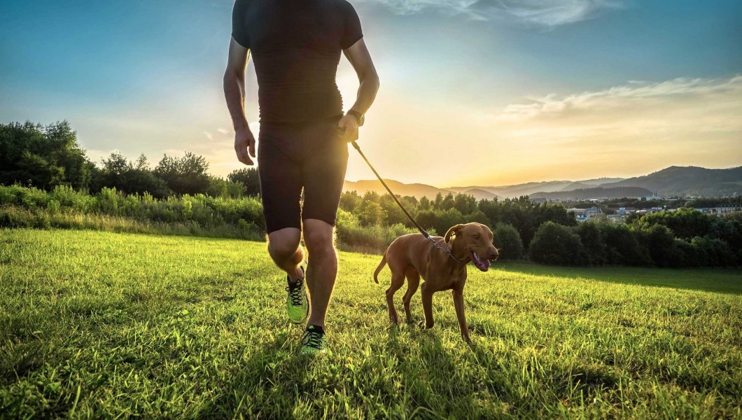 Η άθληση κάνει καλό στην υγεία του σκύλου σας και στη δική σας!