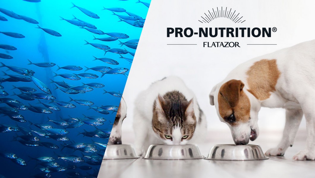 Οφέλη ενεργών θαλάσσιων συστατικων αποκλειστικά στις τροφές Pro-Nutrition για ζωτικότητα και ευεξία του σκύλου και της γάτας.