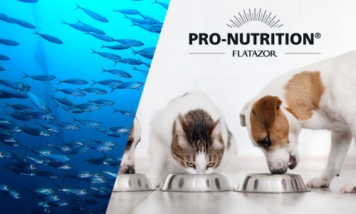 Οφέλη ενεργών θαλάσσιων συστατικων αποκλειστικά στις τροφές Pro-Nutrition για ζωτικότητα και ευεξία του σκύλου και της γάτας.