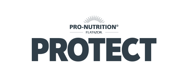 Pro Nutrition Flatazor Protect