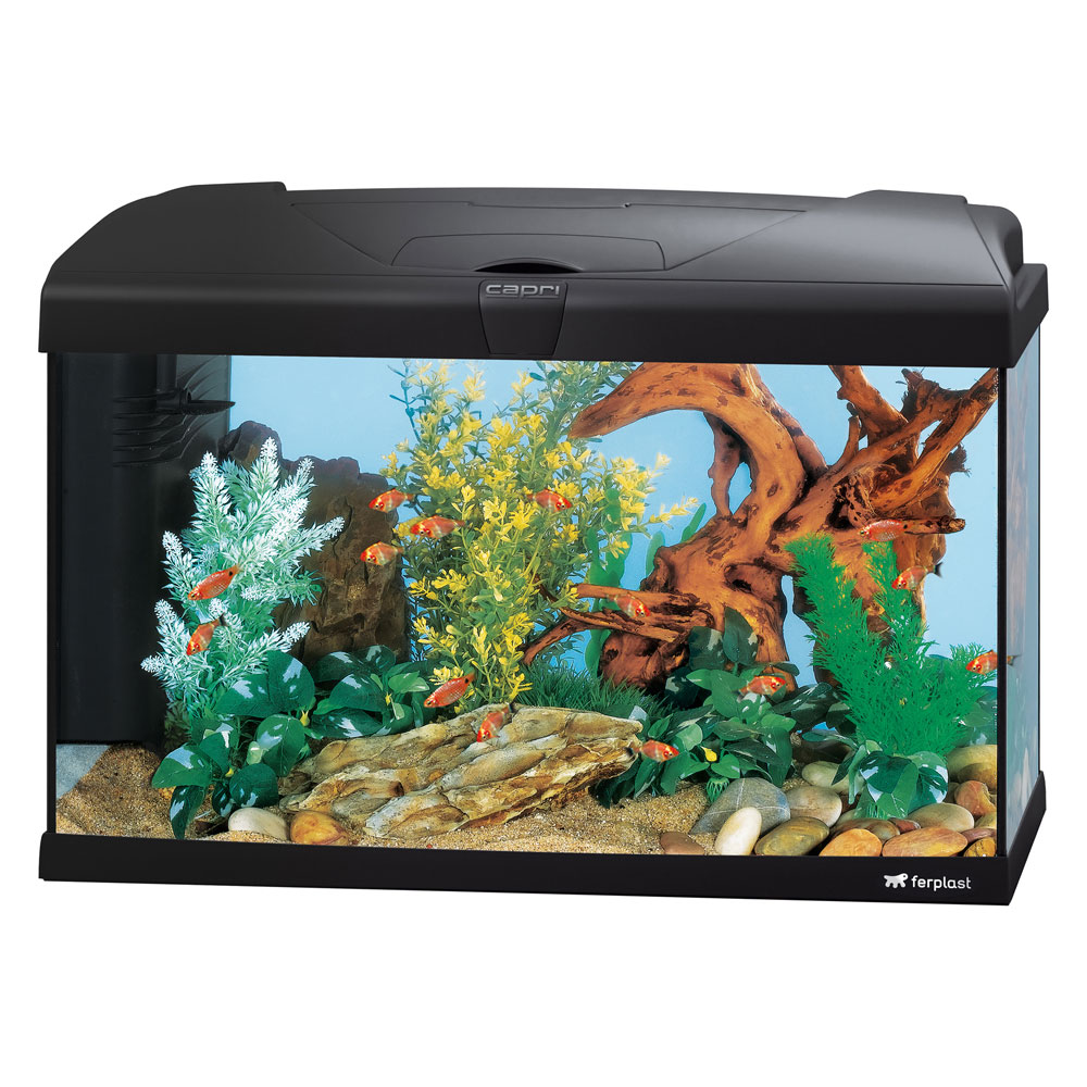 Ferplast Capri 60 Black Led