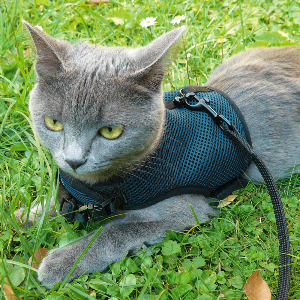 Ferplast Cat Harness Jogging