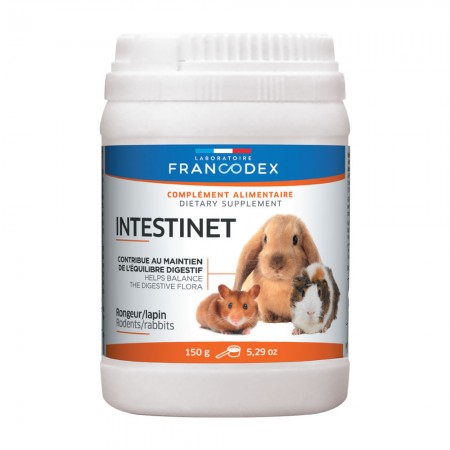 Intestinet