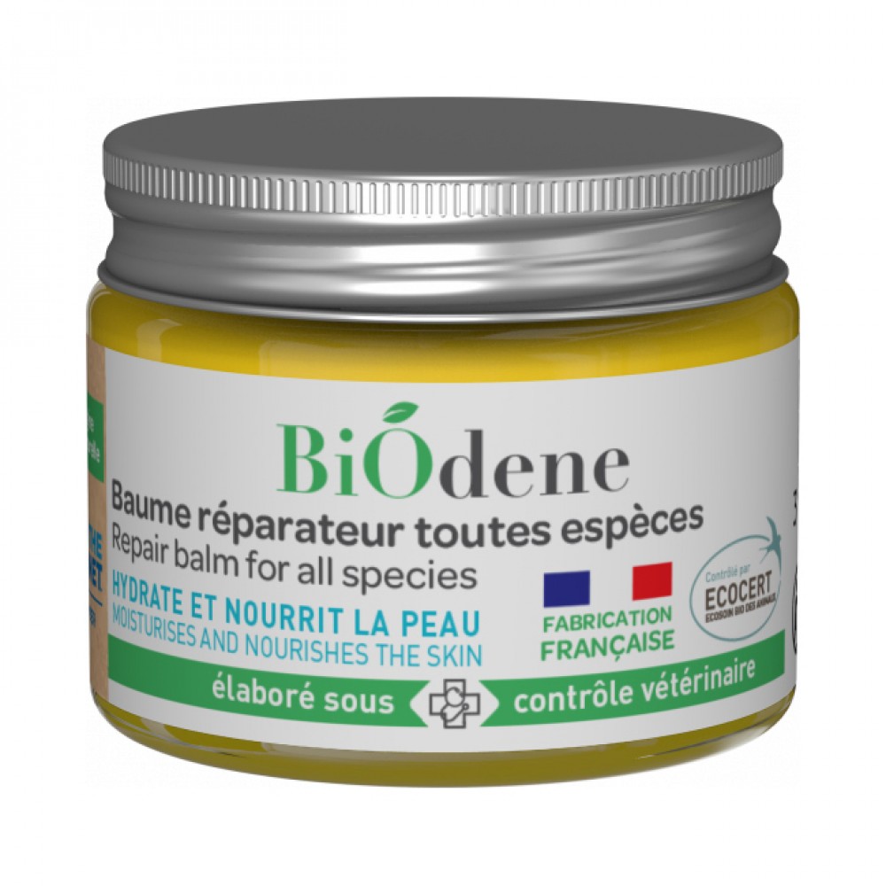 Aλοιφή ανάπλασης
